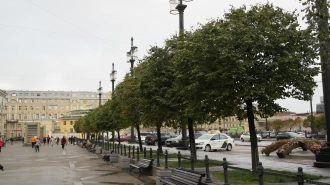 В Петербурге август финиширует короткой волной тепла