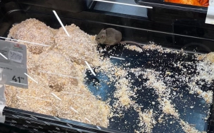 В петербургском супермаркете заметили мышь, дегустирующую котлеты
