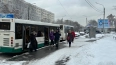 Большая часть автобусов в Петербурге переведена на ...