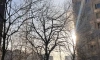 Потепление ожидается в Петербурге 10 января