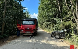 В Выборгском районе Ленобласти после ДТП скончался водитель Renault