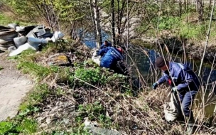 Петербуржцы очистили реку Красненькая от бутылок и прочего мусора