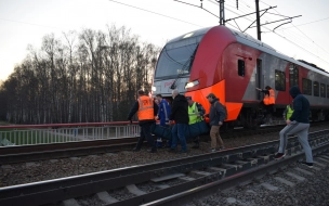 В Петербурге "Ласточка" сбила мужчину, гулявшего по ж/д путям