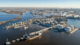 Власти Петербурга намерены переориентировать Нефтяной ...