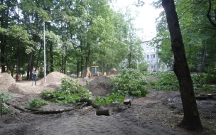 Двор раздора: жители 2-го Муринского, 10 воюют с местной администрацией из-за сноса деревьев и строительства площадки