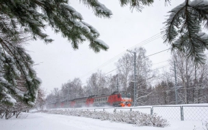 Стоимость проезда на электричках в Ленобласти поднимут с 1 января