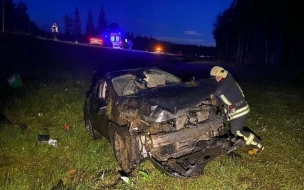 Водителя доставили в больницу после ДТП на Новоприозерском шоссе