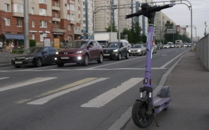 В Тихвине ребенок на самокате врезался в дерево и попал в больницу