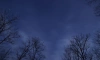 Ночью 10 марта в Ленобласти местами похолодает до -25 градусов