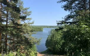 Петербуржцам рассказали, почему не стоит купаться в озерах Всеволожского района