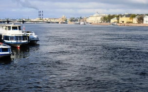 Во время прогулки на теплоходе в Петербурге пассажир выпал за борт