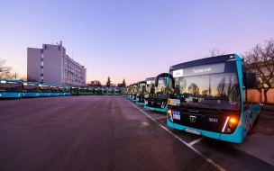 Средний возраст автобусов в Петербурге стал рекордно низким