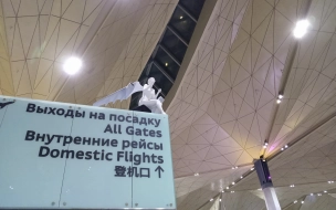 Качество обслуживания пассажиров в Пулково признали лучшим среди аэропортов Европы