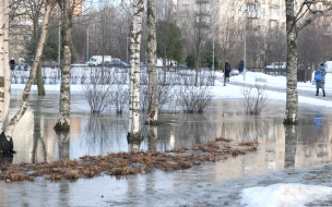 Днём 6 апреля в Ленобласти воздух прогреется до +10 градусов