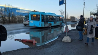 Комтранс обеспокоила лужа в Ленсоветовском, из-за которой пассажиры не могут попасть в транспорт