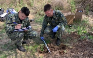 Житель Красноярского края получил срок за убийство в ходе оккультного ритуала