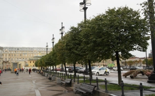В Петербурге 17 мая ожидается до +22 и кратковременные дожди