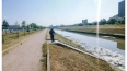 В Петербурге полностью очистят Дудергофский канал ...