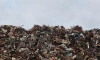 На мусорном полигоне в Гатчинском районе взяли пробы воздуха
