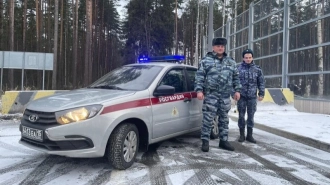 Полицейские задержали петербуржца, который похитил сына бывшей жены