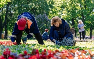 В Александровском саду открылся ежегодный Фестиваль цветов