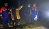 В Ленобласти в лесах нашли четыре заблудившихся человека