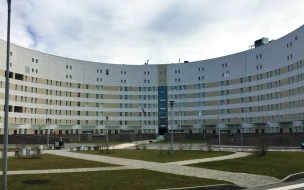 Новый корпус Боткинской больницы предложили перенести в Шушары