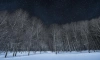 В Ленобласти ночью 6 февраля местами похолодает до -16 градусов