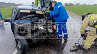 В Ленобласти в лобовом ДТП девушку заблокировало в машине