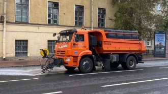 Более 40 тыс. "кубов" воды использовали для полива дорог в Петербурге за неделю