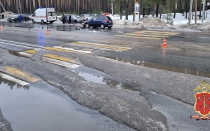 По факту ДТП в Выборгском районе, в котором погибла 12-летняя девочка, возбуждено уголовное дело