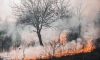 "Оборонлес" тушит природный пожар возле военного полигона в Выборгском районе 
