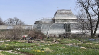 Ботанический сад Петербурга с 28 апреля заработает по летнему графику