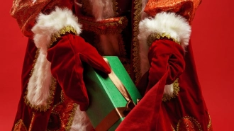 Дед Мороз из Великого Устюга получает до 10 тысяч писем в день