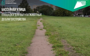 На Бассейной улице появится новая площадка для выгула собак