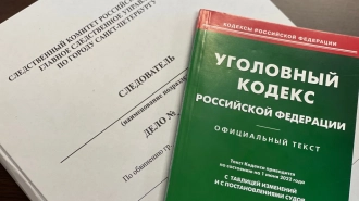 В Петербурге возбуждено уголовное дело после смерти мальчика-инвалида на Солдатском озере