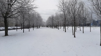 В Петербурге выпало более 4 см снега