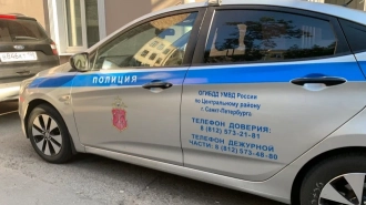 Возвращение "криминальной столицы": преступность в Петербурге выросла на 39% за прошлый год