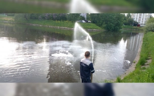 В Красносельском районе Петербурга экологи устранили пятна нефти в реке Сосновка