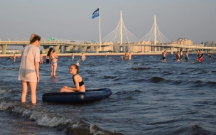 В Петербурге 22 июня зафиксировали +29,2 градуса