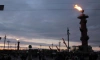 Факелы Ростральных колонн в Петербурге зажгут в новогоднюю и рождественскую ночи