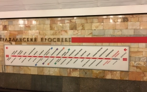 На станции метро "Гражданский проспект" пассажир упал  на пути