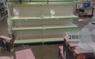 Петербуржцы из-за аномальной жары раскупили вентиляторы