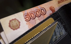 Петербург попал в пятерку регионов РФ с самыми высокими отраслевыми зарплатами