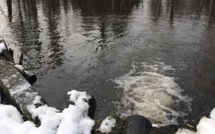 В сточных водах птицефабрики "Северная" обнаружили загрязняющие вещества