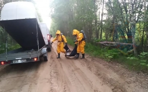 Спасатели Тосно обнаружили ящик с металлическими банками с бромином и предприняли меры по безопасной утилизации