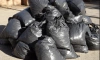 В Ленобласти на год закупают 620 мешков для трупов