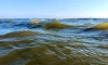 Аномальная жара может привести к гибели рыб в водоемах Петербурга и Ленобласти