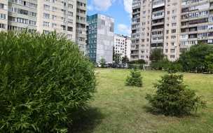 Сквер на проспекте Луначарского благоустроят в Петербурге