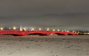 С 9 февраля Троицкий мост украсит яркая красная подсветка